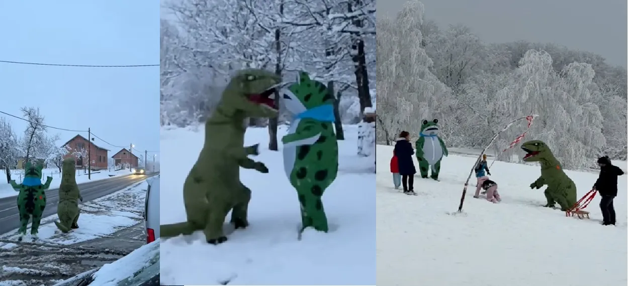 zaba i dino
