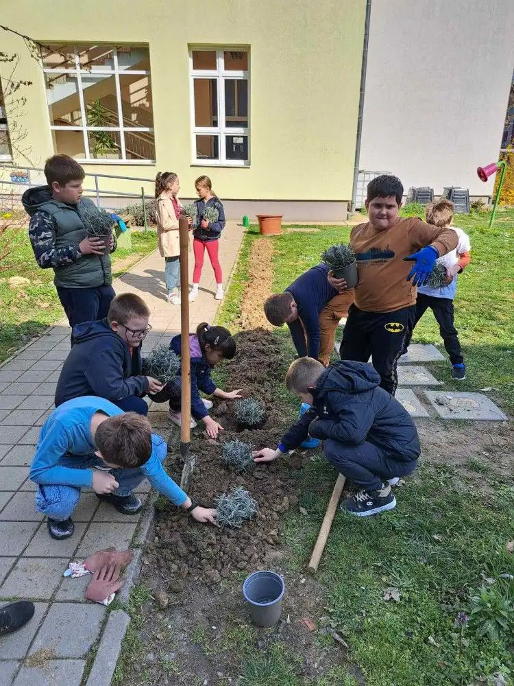 Fotografija uz članak „PAKRAČKI OSNOVNOŠKOLCI Aktivni u stjecanju statusa „Eko škola““
