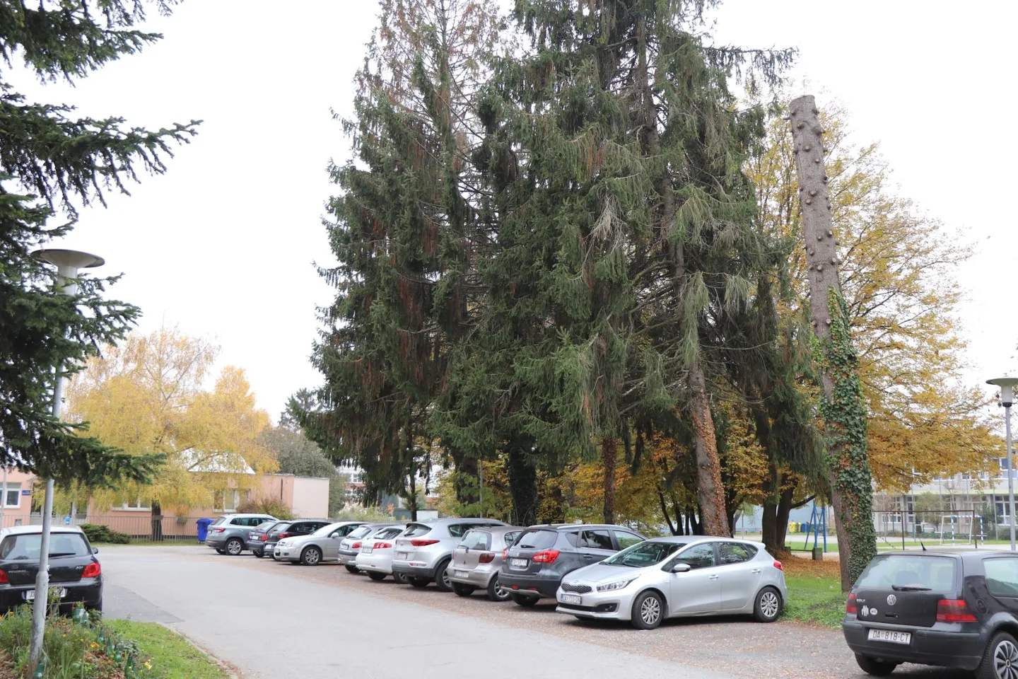 drvece vrtic naslovna
