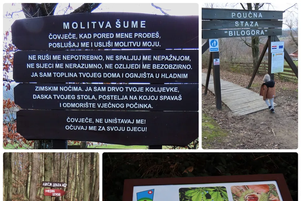 Fotografija uz članak „OČI PUNE HRVATSKE Dječja planinarska staza „Mali Bilogorci“ na Kamenitovcu!“