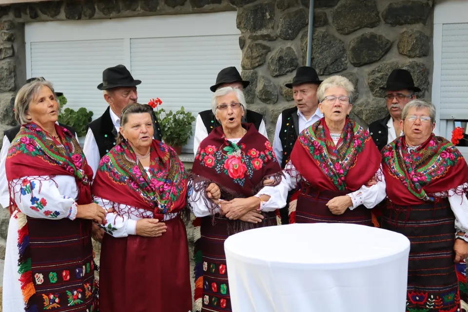 prosvjeta