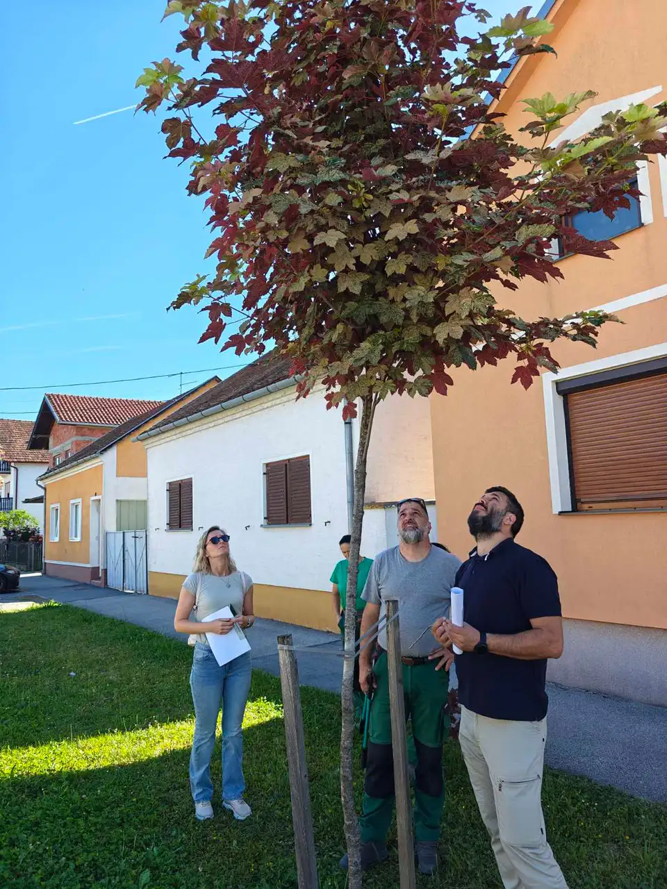 Fotografija uz članak „Stručno usavršavanje djelatnika za bolju brigu o gradskom zelenilu“