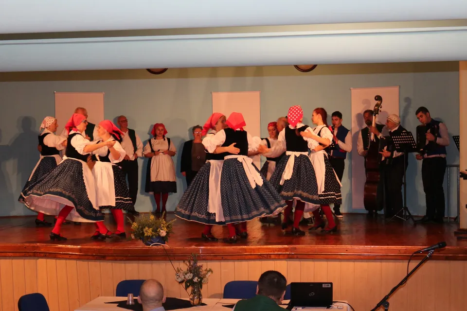 cesi muzikanti