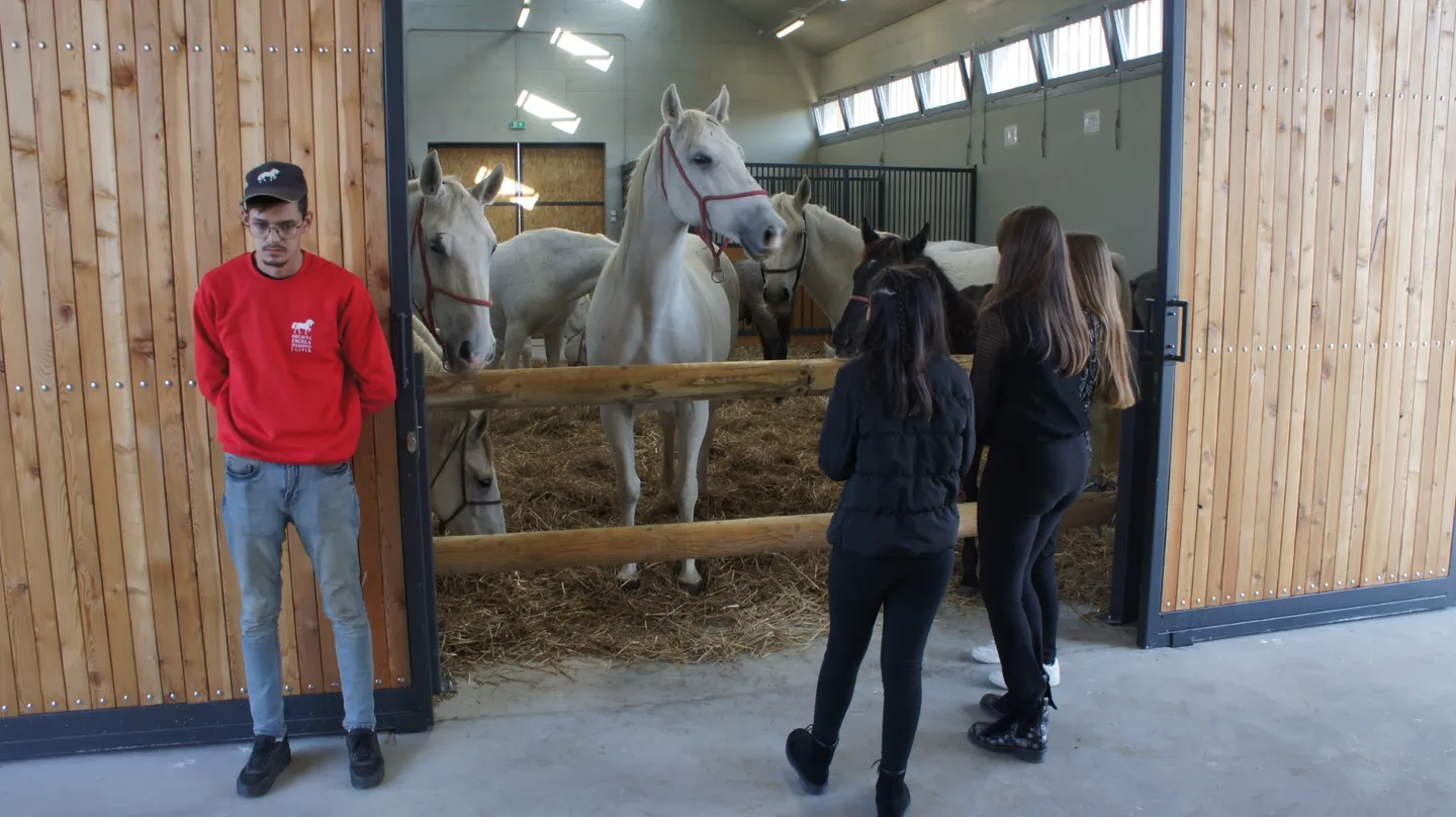 otvorenje ergele naslovna