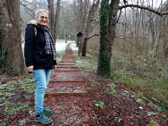 Alejom do Kalvarije i Psunja