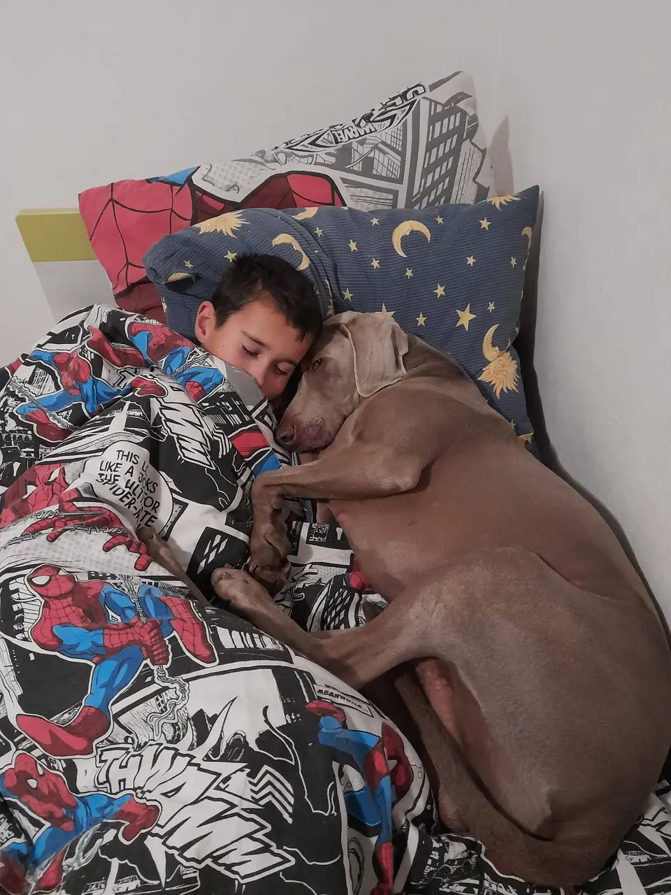 Fotografija uz članak „BILJANA VIDRIĆ, PREDSJEDNICA BK „TITAN“ Za blagostanje uma – Maksim, bicikl i šuma“