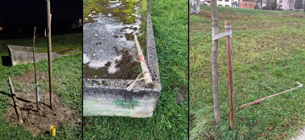 vandali stabla