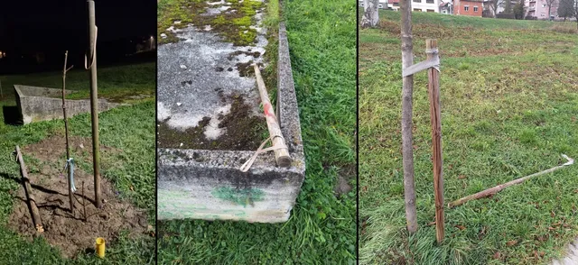 vandali stabla