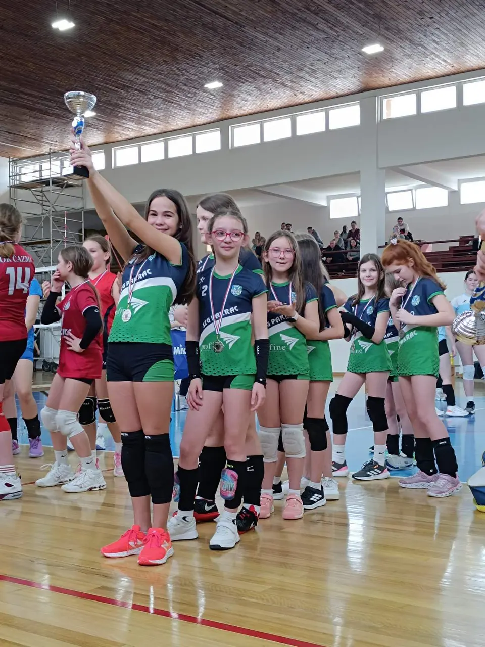 Fotografija uz članak „MALA I MINI ODBOJKA Naše najmlađe odbojkašice su viceprvakinje Prvenstva Bjelovarsko-bilogorske županije“
