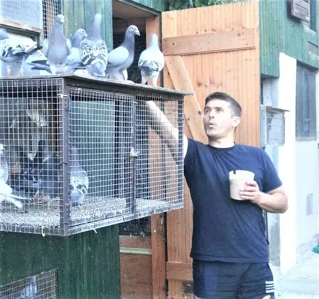 Goran u golubinjaku