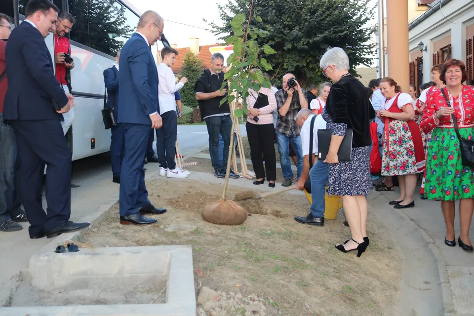 Češka beseda početak sadnje