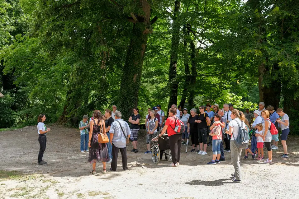Fotografija uz članak „[PROMO] PROJEKT „NISMO SAMI“: Studijsko putovanje na Jankovac“