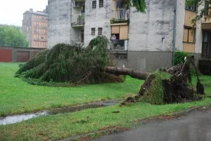 Fotografija uz članak „Nevrijeme u Pakracu, Badljevini i Kusonjama“