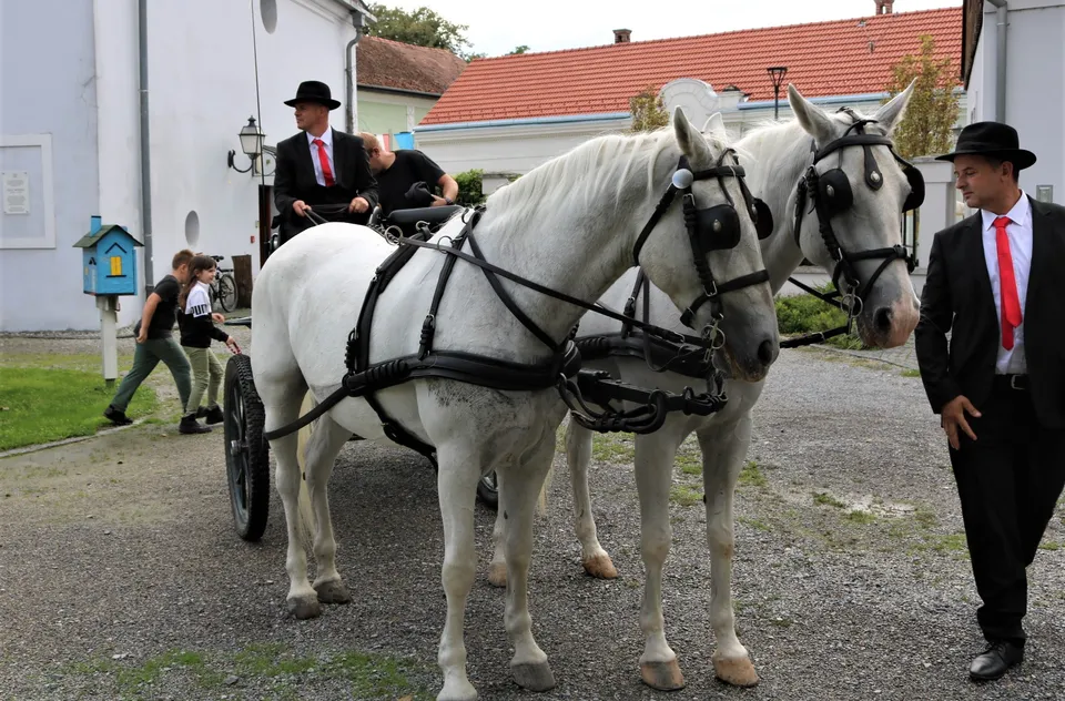 Kočija1