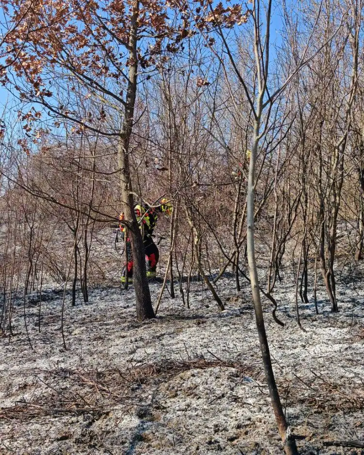 Fotografija uz članak „DVA POŽARA U ISTOM DANU Vatrogasci upozoravaju na oprez prilikom spaljivanja na otvorenom“