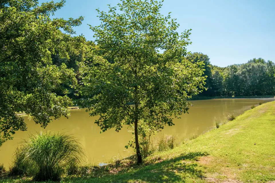 Fotografija uz članak „MALI RIBOLOVNI KAMP Na Pakurnovcu cjelodnevni program za djecu“