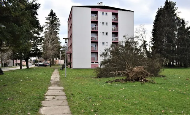 bor okruženje