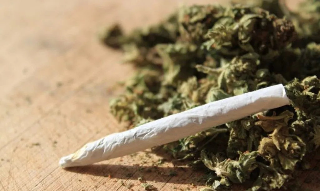 marihuana droga ili lijek e1592301341594 c