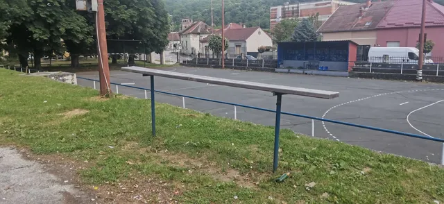 Partizan