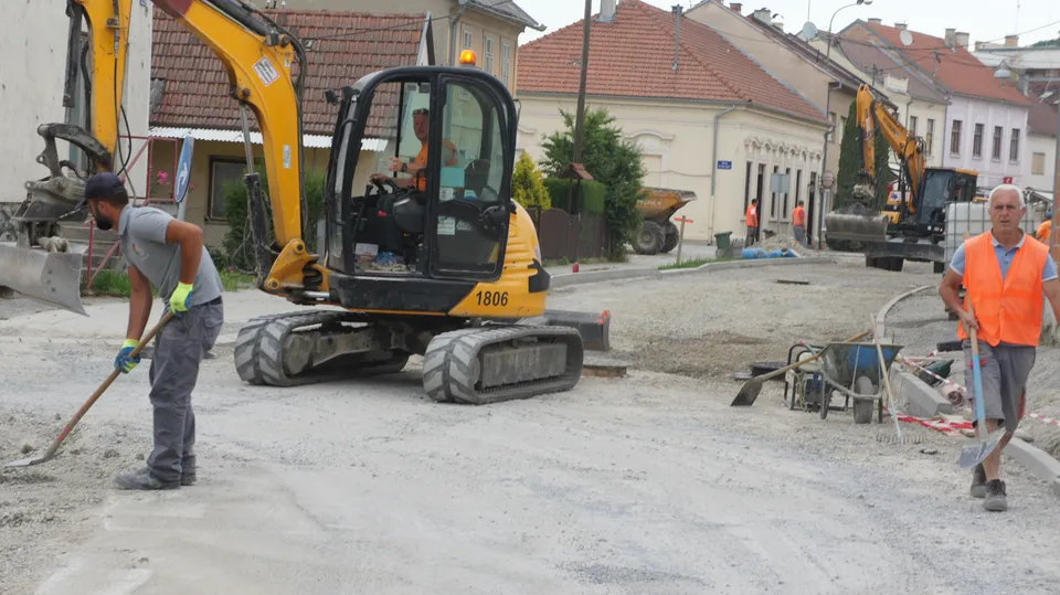 Bolnička lipanj