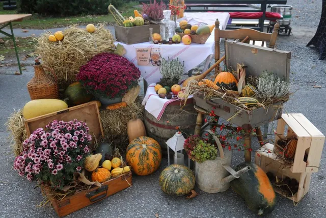 Fotografija uz članak „16. SAJAM SLAVONSKI BANOVAC ”Nije sve u novcu, ima nešto i u banovcu”“