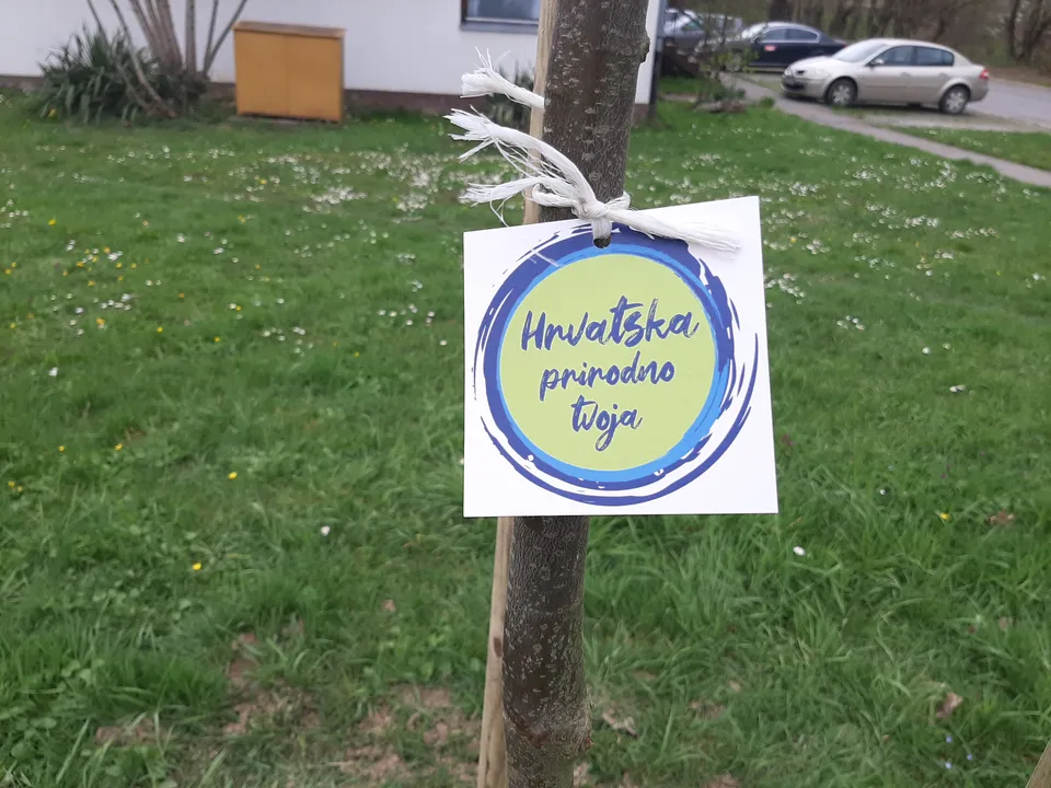 etiketa drvo.bak