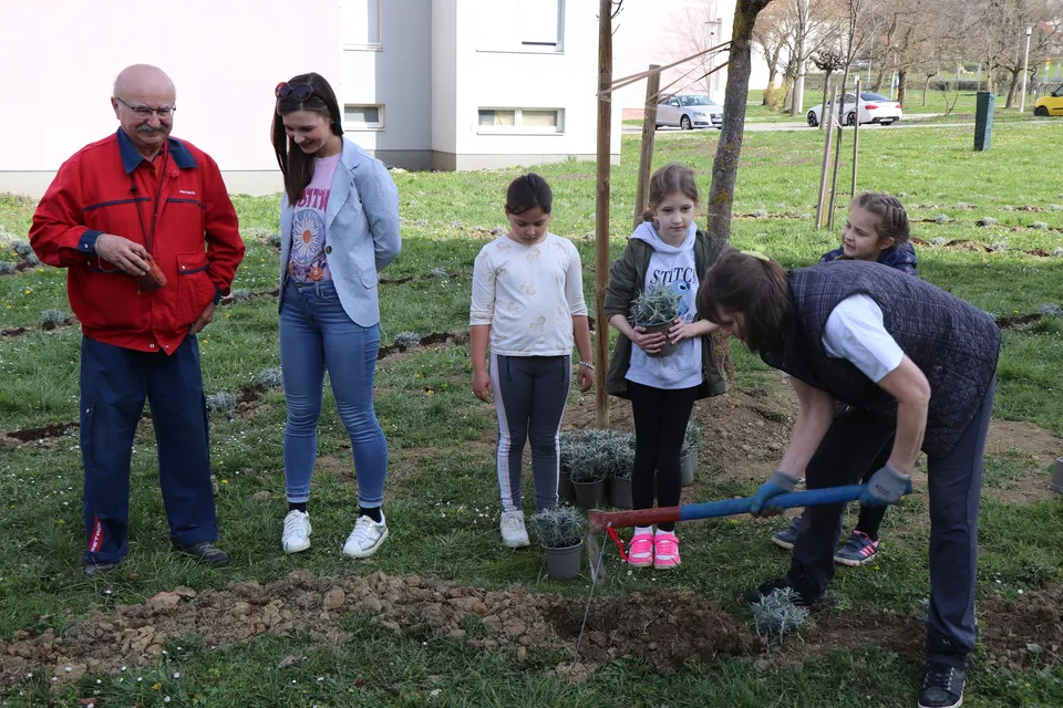 Fotografija uz članak „NASELJE „JUG“: „Mirisni labirint“, novi omiljeni dječji sadržaj“