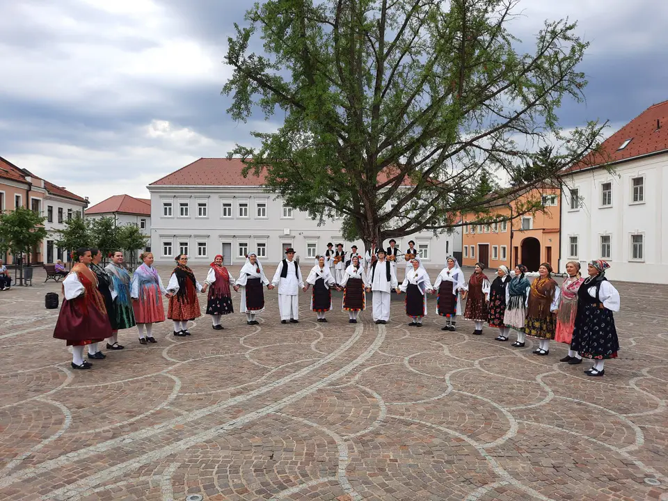 Fotografija uz članak „[PROMO] "Zlatne žice Slavonije" od 2. rujna u Požegi“