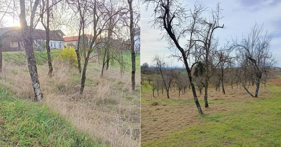 rn garden prije i poslije
