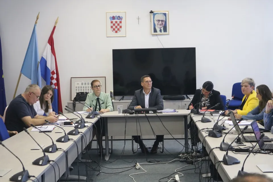 vijeće vodstvo