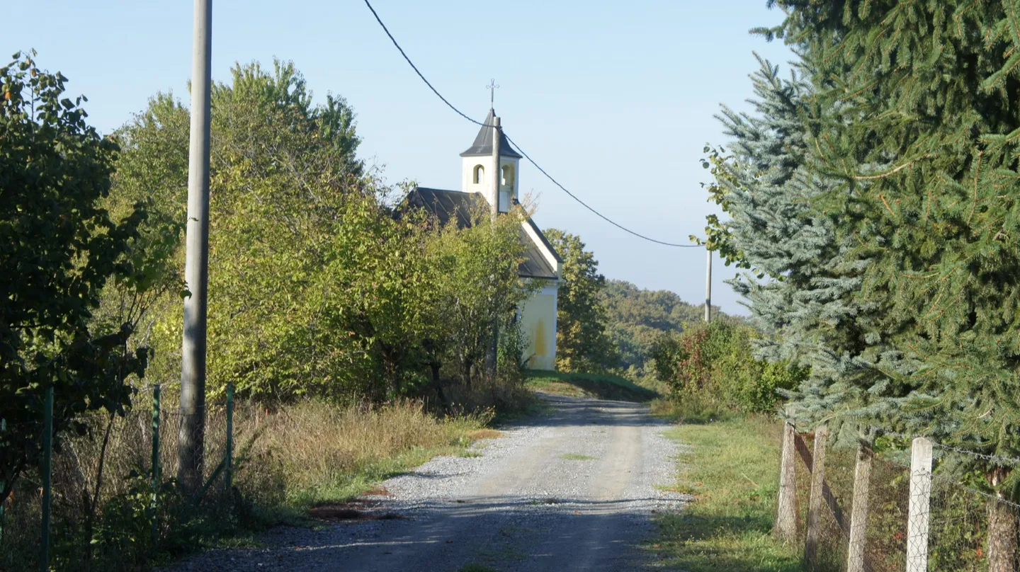 sveti Rok