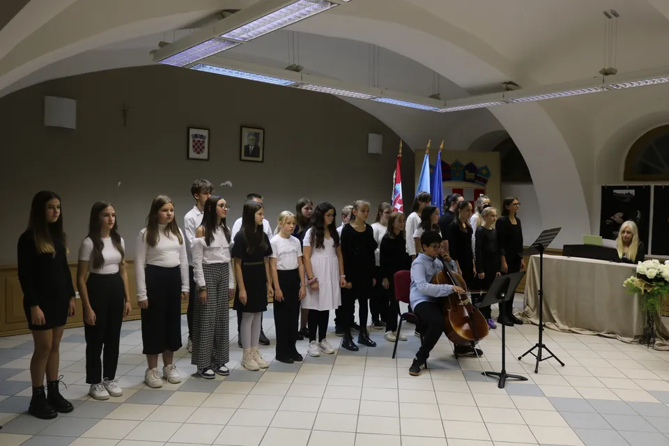 koncert domaći