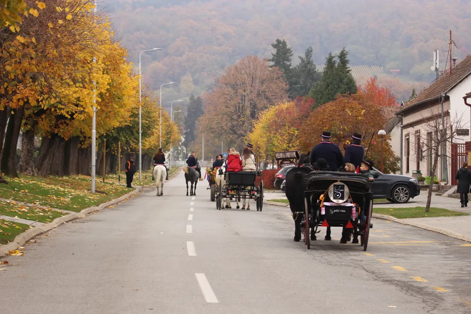 Fotografija uz članak „[PROMO] MARTINJE U KUTJEVU 2022.“