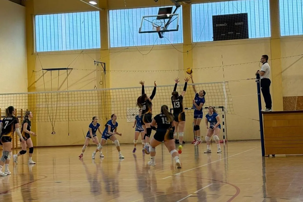 ok pkc ok v. gorica