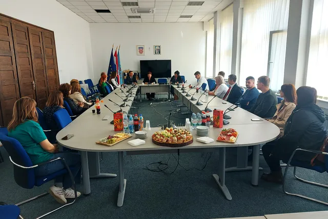 zavrsetak projekta