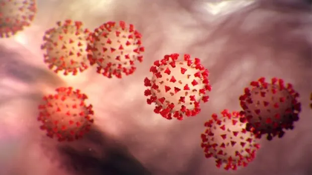 Fotografija uz članak „KORONAVIRUS Prisutna tek pojedinačna oboljenja“