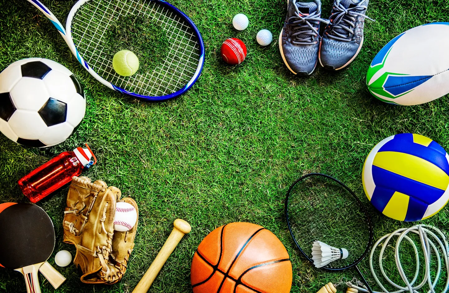 sportovi