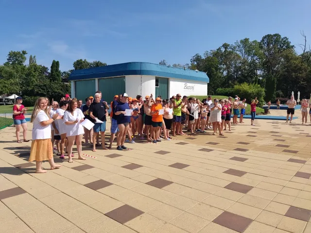 inkluzija naslovna