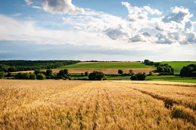 agricultural 7359884 1280