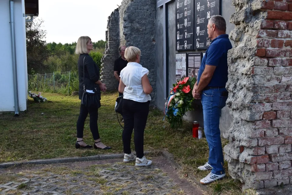bučje obitelji