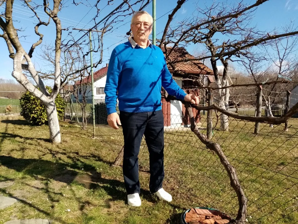 sabo u voćnjaku