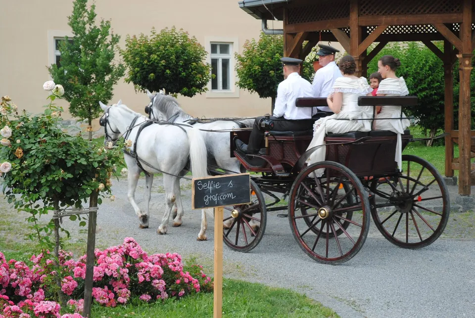 jankovići kočija