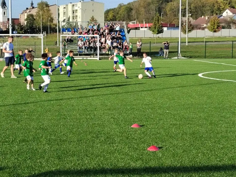 limači