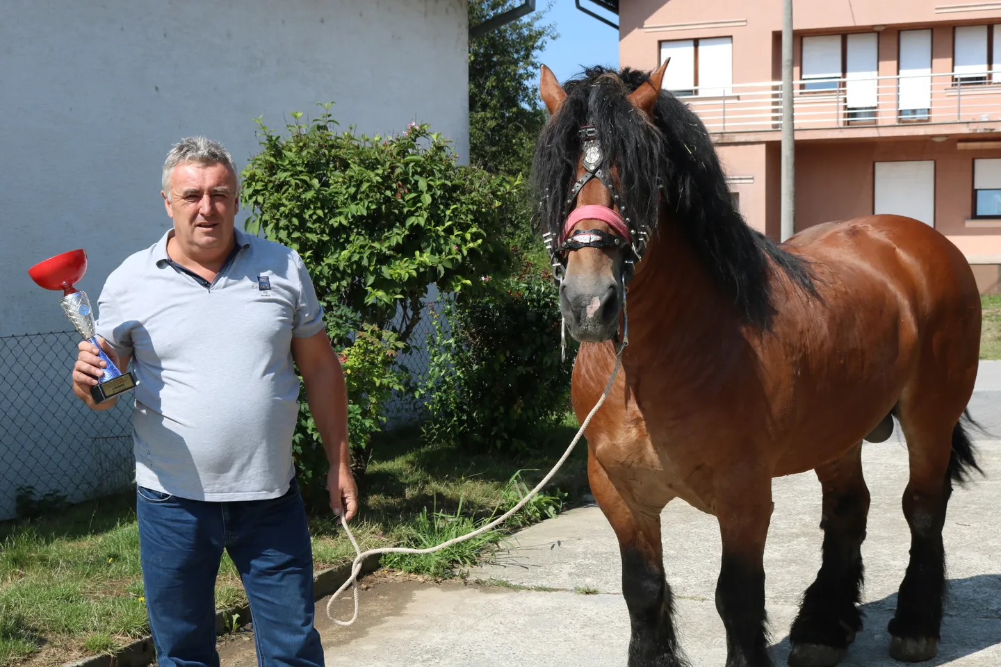 Fotografija uz članak „IZLOŽBA KONJA U MIHALJEVCIMA Vilenjaku 1. mjesto s pastuhom Mangom“