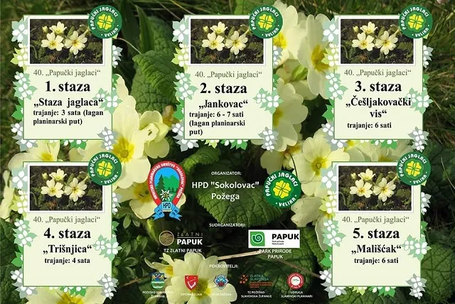 Fotografija uz članak „[PROMO] TRADICIONALNI PLANINARSKI POZDRAV PROLJEĆU – Najavljeno jubilarno 40. izdanje Papučkih jaglaca“