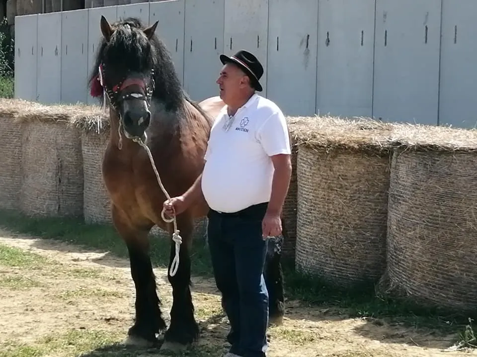 Fotografija uz članak „Na sajmu u Gudovcu Maroševićev Mango osvojio 3. mjesto“