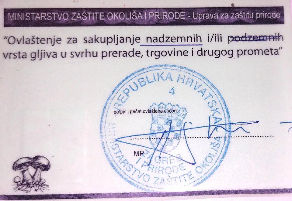 Iskaznica