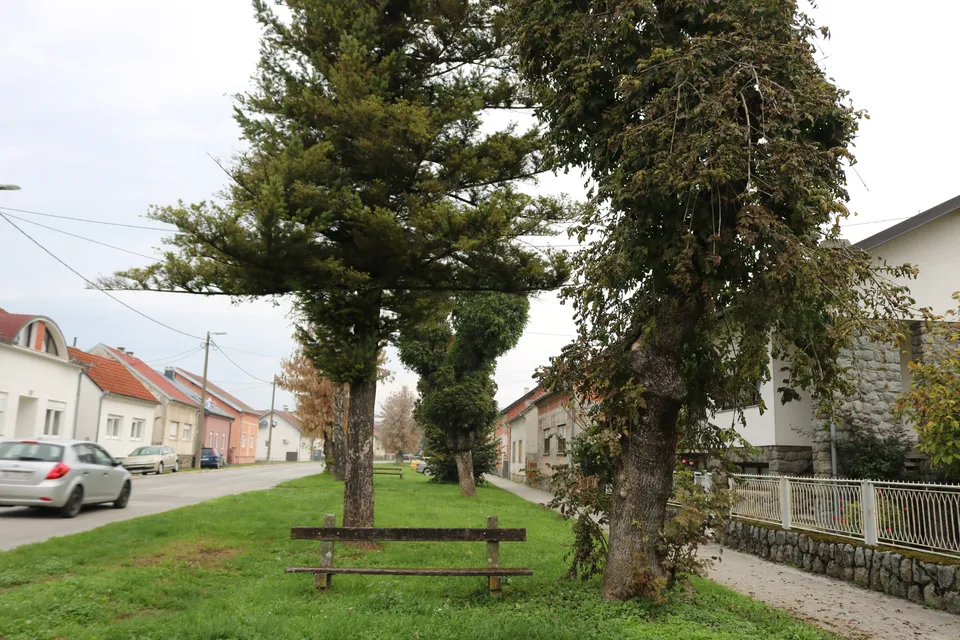 Stros drveće