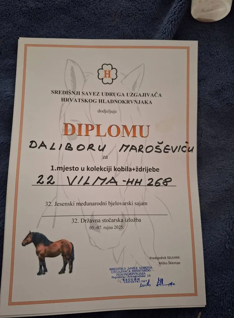 Fotografija uz članak „32. IZLOŽBA KONJA GUDOVAC Prvo mjesto grla Dalibora Maroševića na državnom prvenstvu“