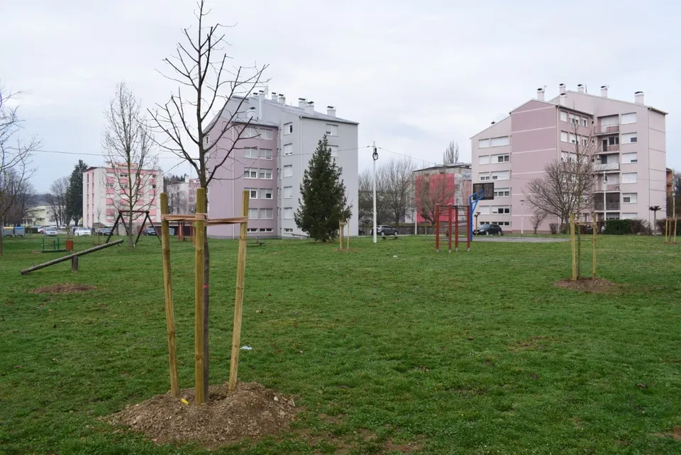 stabla hebrngova